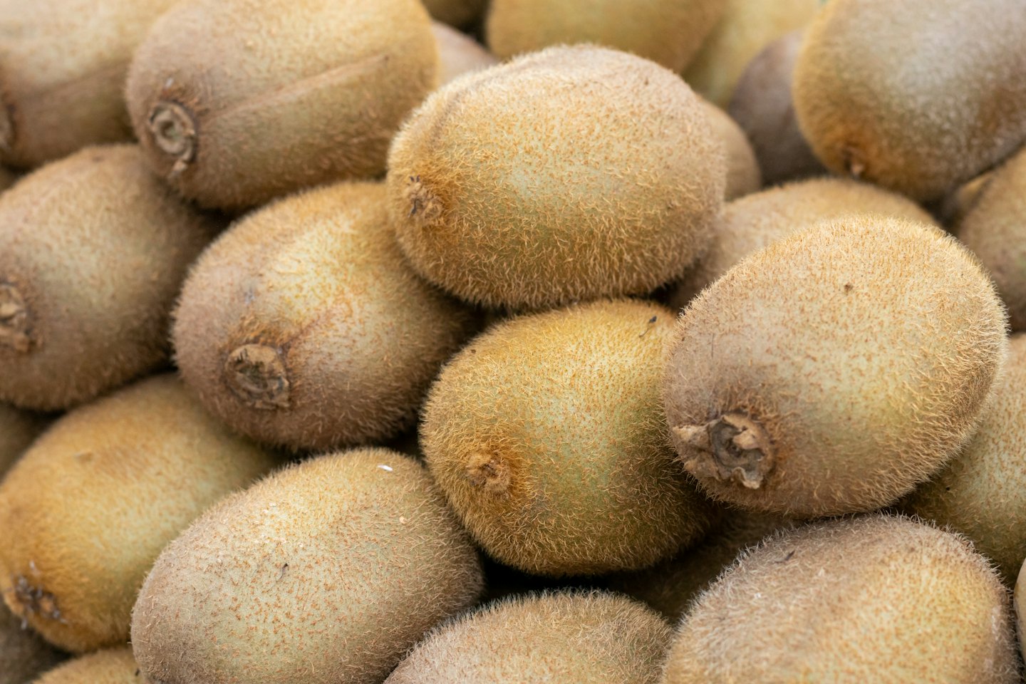 A pile of fresh whole kiwi fruits with fuzzy skin.
