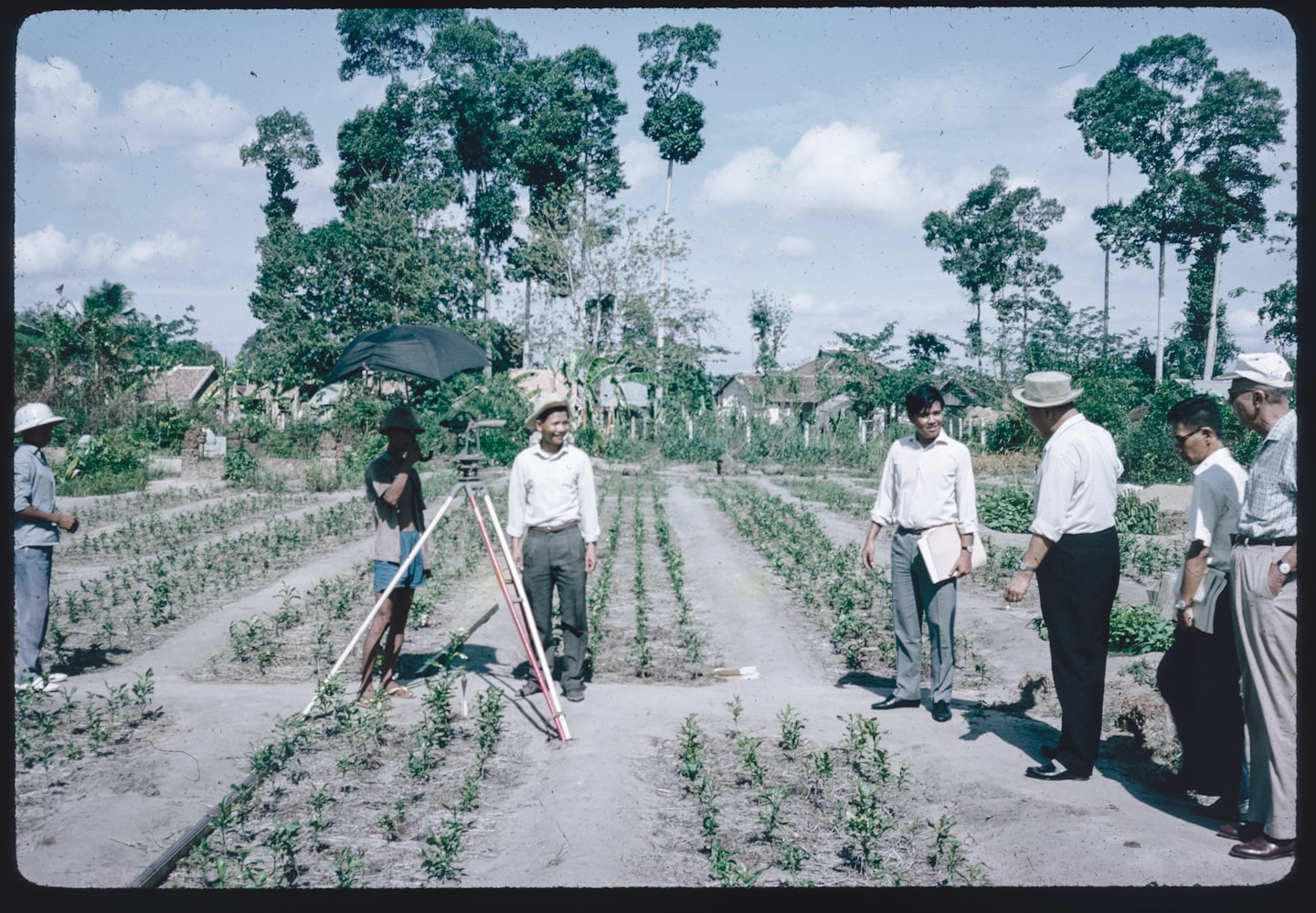 Men inspect young plants in a field with surveying equipment.