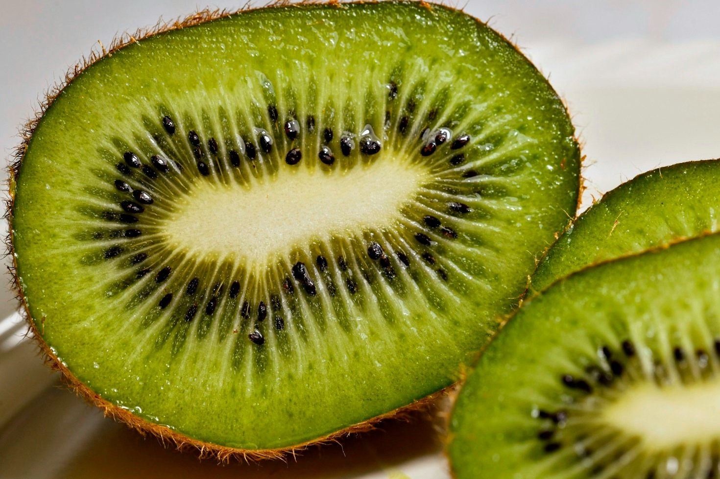 Where To Buy Fresh Locally Grown Kiwiberries This Harvest Season